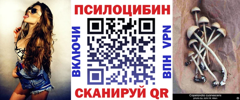 Псилоцибиновые грибы MAGIC MUSHROOMS  Купить закладки  Кисловодск 